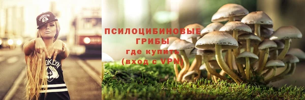 jwh Ладушкин
