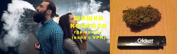 крисы Лагань