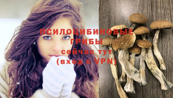 эйфоретик Лабытнанги